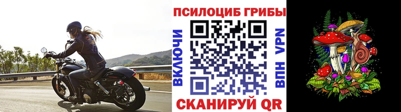 Псилоцибиновые грибы Psilocybe  Апрелевка 